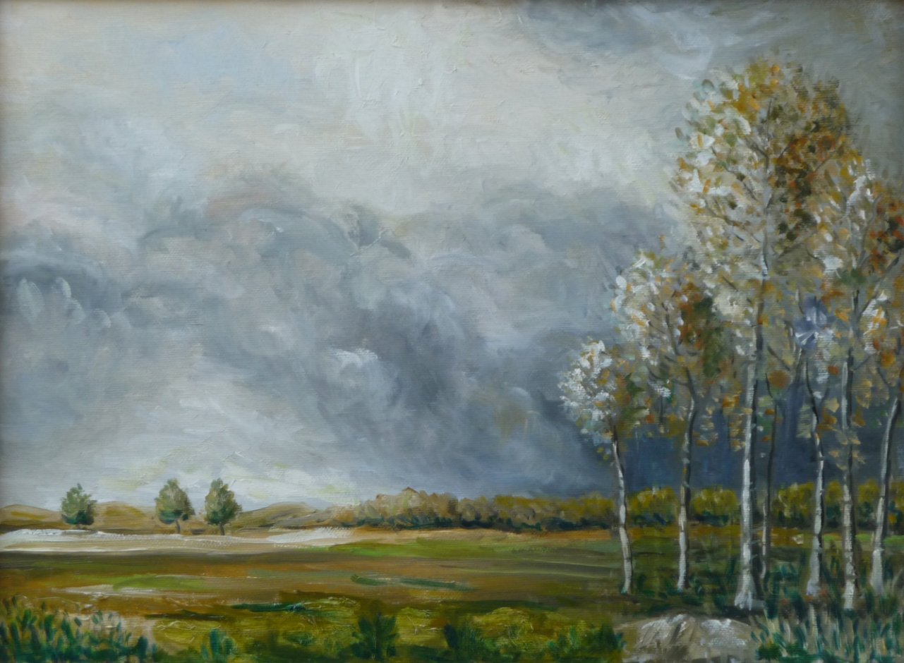 TEMPORALE SUL RHENO